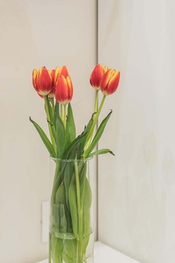 Frattina 35 Apartment Roma Ngoại thất bức ảnh